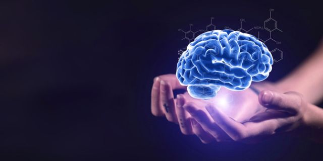 大脑头脑手托知识智慧免抠