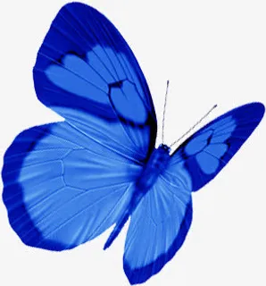 手绘蓝色纹理墙壁蝴蝶免抠