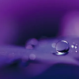 梦幻紫色露珠主图背景素材高清