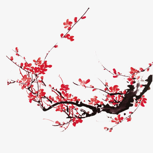 梅花免抠