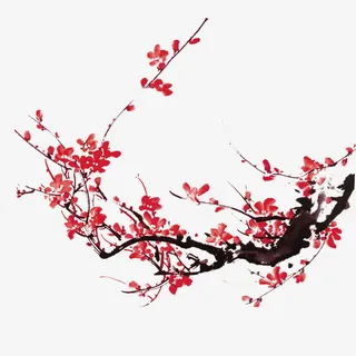 梅花免抠