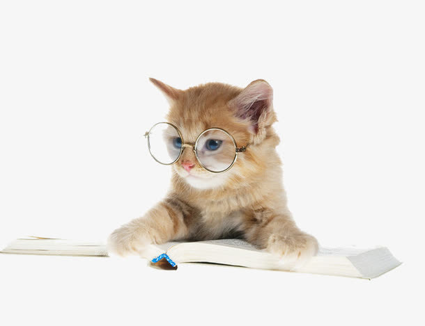 读书的猫咪免抠