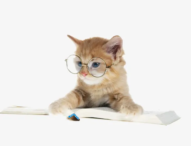 读书的猫咪免抠