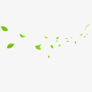 绿色叶子元素免抠