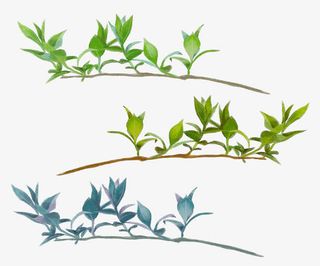 海报涂鸦树枝花朵效果免抠