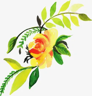 浪漫春天黄色玫瑰免抠