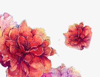 水墨画盛开的红花免抠