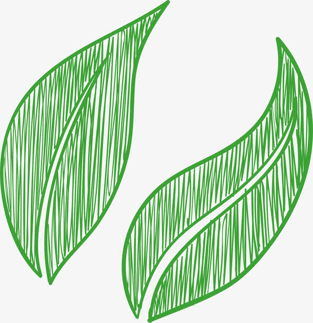 叶子剪纸橙子树叶子免抠
