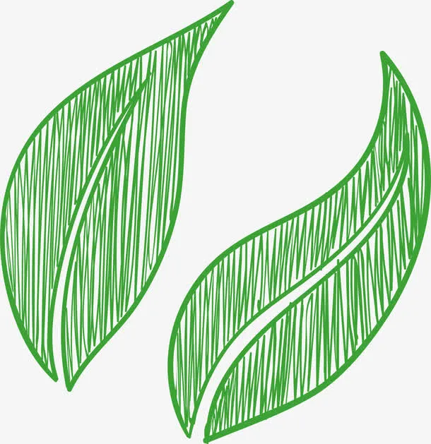 叶子剪纸橙子树叶子免抠
