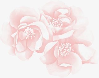 梦幻粉色花纹底纹免抠