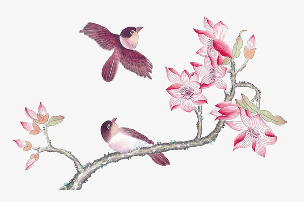 杜鹃花图免抠