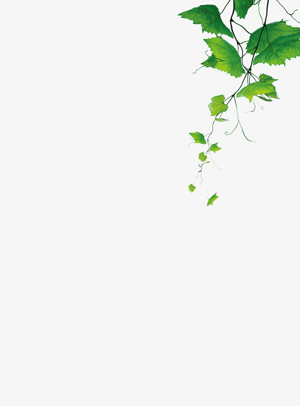 背景图