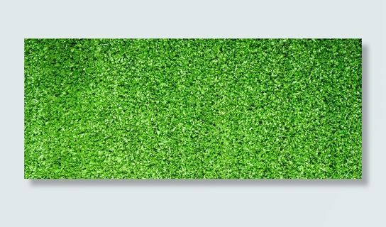 绿色植物背景高清