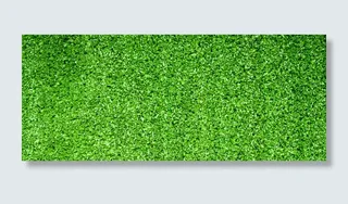 绿色植物背景高清