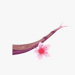 扁平化设计树枝桃花免抠