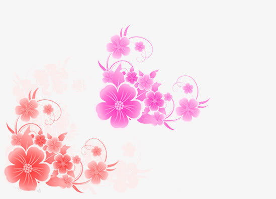 漂亮的花朵素材图片免抠