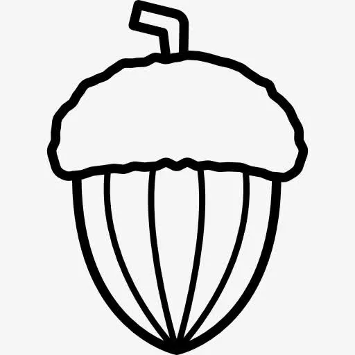 Acorn 图标免抠