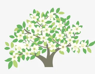 梨花书绘画免抠