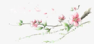 粉色简约古风桃花树枝免抠