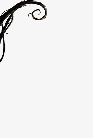 枯树枝墨迹素材免抠