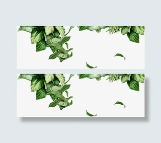 绿叶边框素材免抠