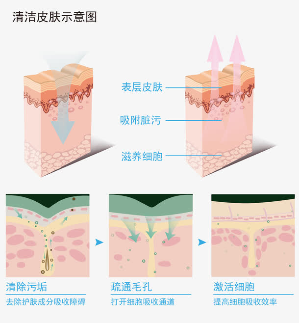 深度清洁皮肤示意图免抠