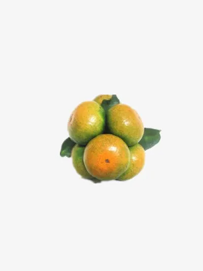 青橘子免抠