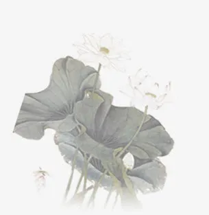 水墨荷花素材免抠
