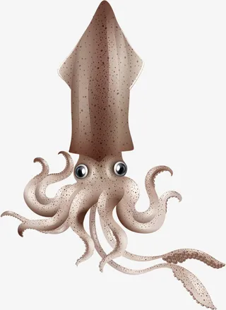 卡通深海乌贼免抠