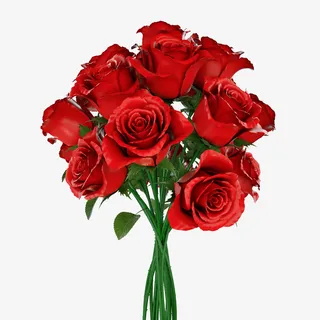 一束红玫瑰花免抠