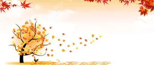 枫叶背景高清