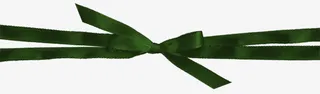 墨绿色蝴蝶结免抠