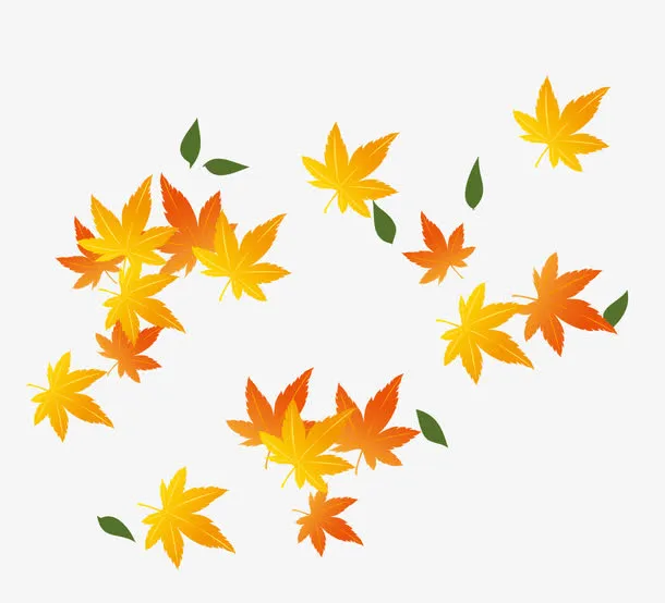秋天枫叶免抠