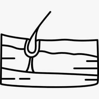 人的皮肤图标免抠