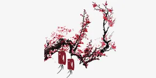 梅花和灯笼免抠