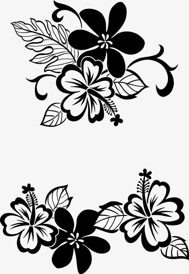 黑色花纹花边装饰矢量图免抠