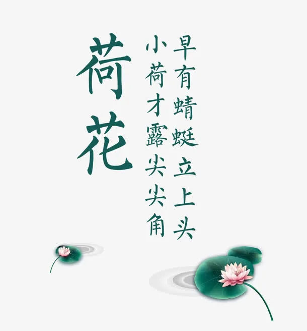 荷花手绘免抠