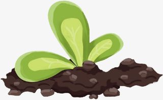 春天嫩芽发芽免抠