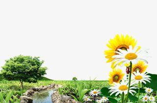 草坪花河流免抠