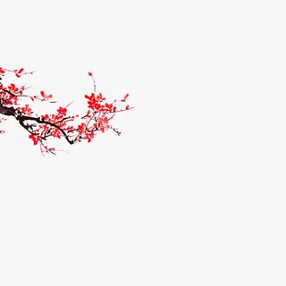红色梅花免抠
