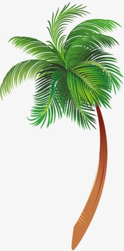 卡通棕榈树免抠
