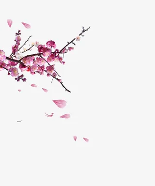 中国风梅花飘落免扣元素免抠