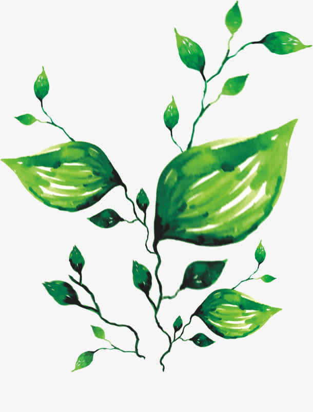 树枝免抠
