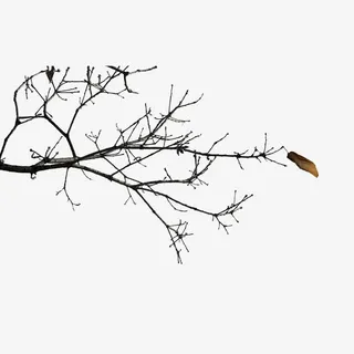 冬日风光图免抠