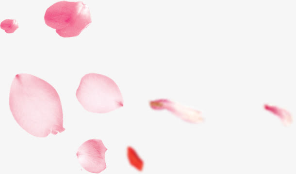 漂落的花瓣免抠