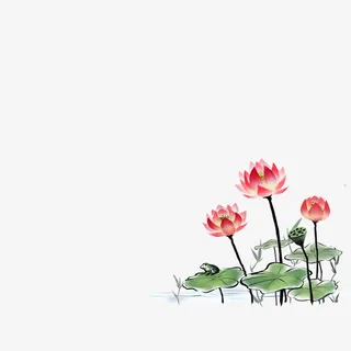 荷花免抠