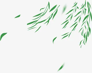 树叶，春天，卡通，绿意免抠