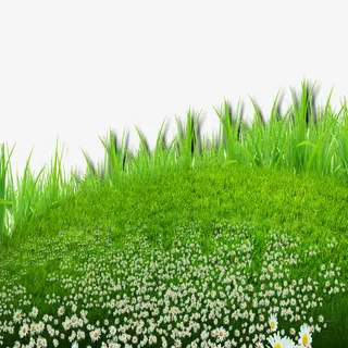 绿色的草地免抠