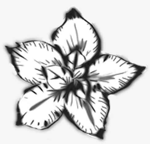 春天黑色手绘花朵植物免抠