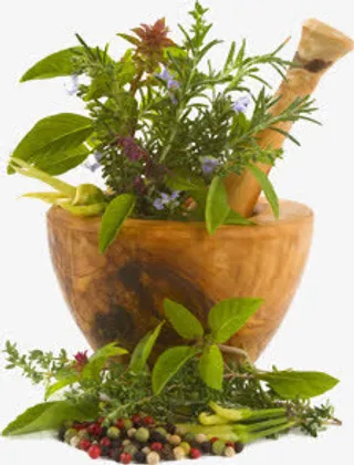 春天清新植物摆件装饰免抠